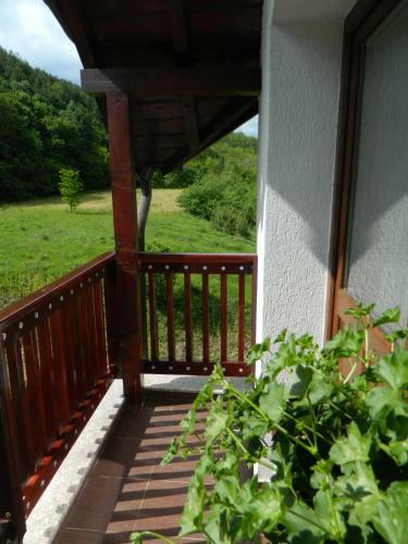 Hostal Pensiunea Andrei