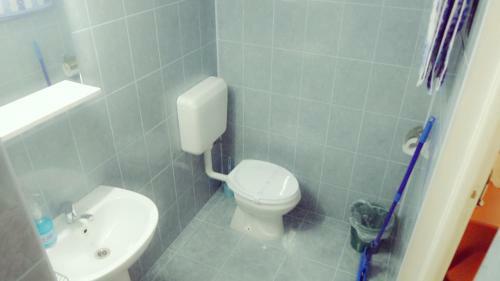 Hostal Pensiunea Casa Vranceana