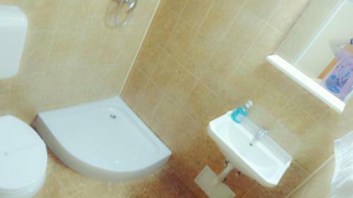 Hostal Pensiunea Casa Vranceana