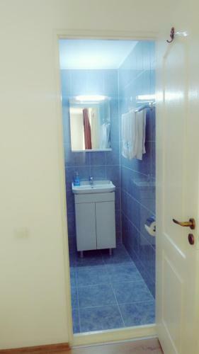 Hostal Pensiunea Casa Vranceana