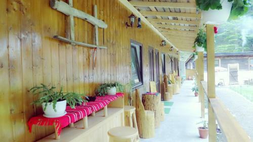 Hostal Pensiunea Casa Vranceana