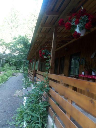 Hostal Pensiunea Casa Vranceana