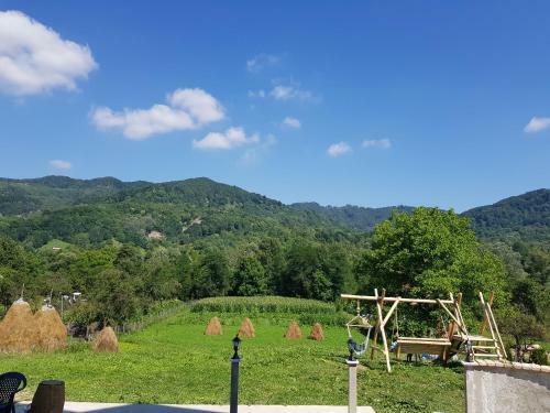 Hostal Heaven Guesthouse