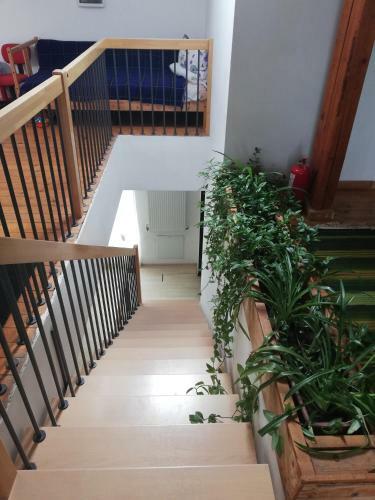 Hostal Casa La Bunica