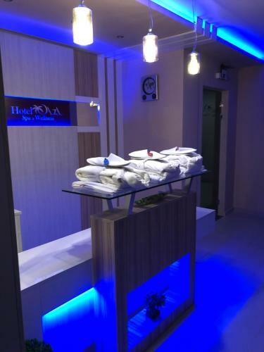Bed & Breakfast Hotel Oaza&spa-wellness Josanicka Banja