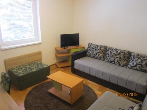 Apartman Vojin