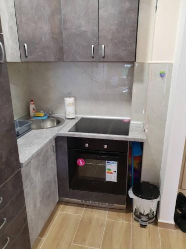 Apartman Vojin