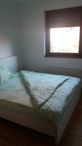 Apartman Vojin