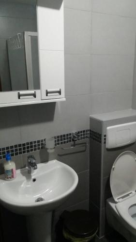 Apartman Vojin