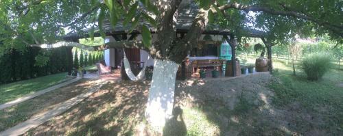 Honey House