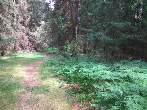 Hostal Gostevoi Dom Na Volge