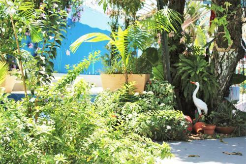 Hotel Mar � Vista