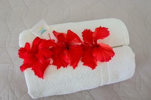 Hostal Pousada Le�o Marinho