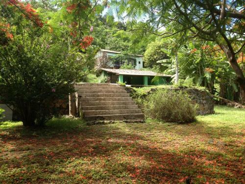 Casa Do Ney
