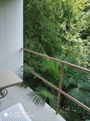 Hostal Dubrava Guest House