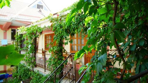 Posada Mini-hotel Ani