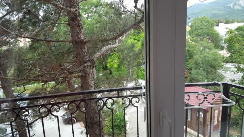 Hotel Darya
