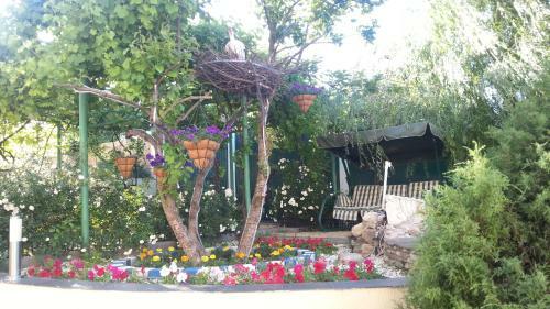 Hostal Guest House Lastochkino Gnezdo