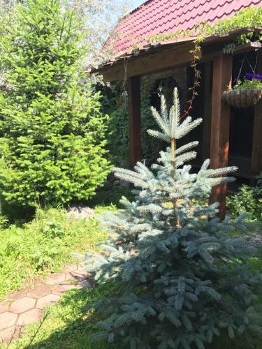 Hostal Lake House
