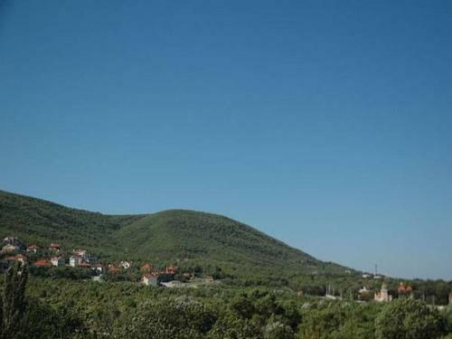 Hostal Guest House Rodos
