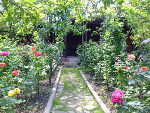 Hostal Guesthouse On Krasnykh Partizan 4