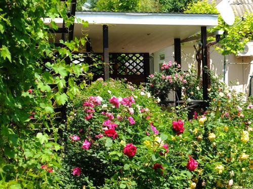 Hostal Guesthouse On Krasnykh Partizan 4