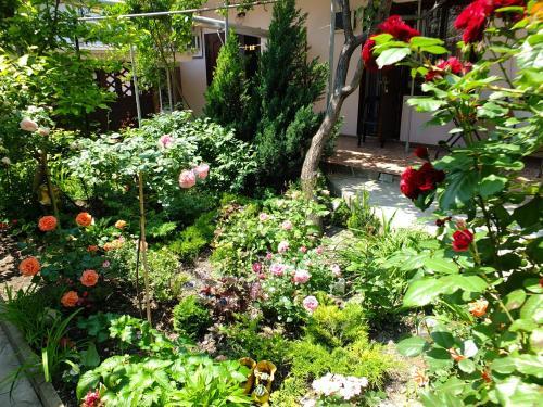 Hostal Guesthouse On Krasnykh Partizan 4
