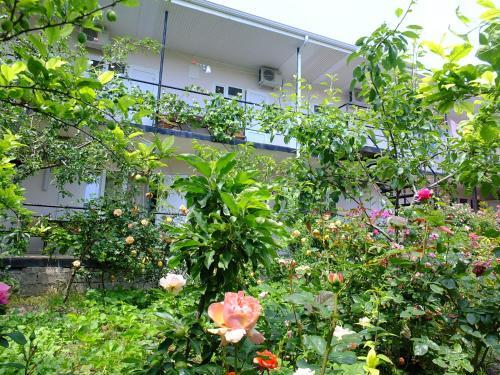 Hostal Guesthouse On Krasnykh Partizan 4