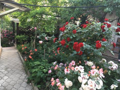 Hostal Guesthouse On Krasnykh Partizan 4