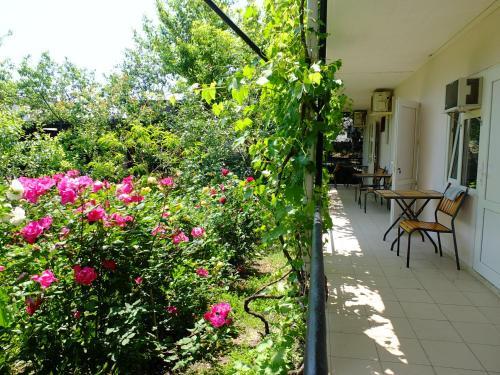 Hostal Guesthouse On Krasnykh Partizan 4