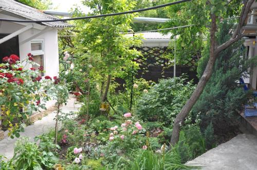 Hostal Guesthouse On Krasnykh Partizan 4