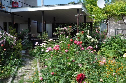 Hostal Guesthouse On Krasnykh Partizan 4