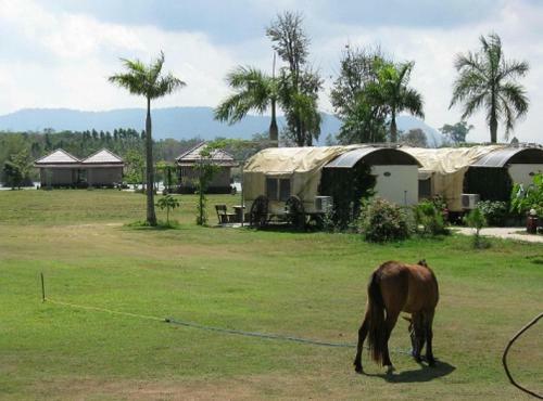 Busai Country View
