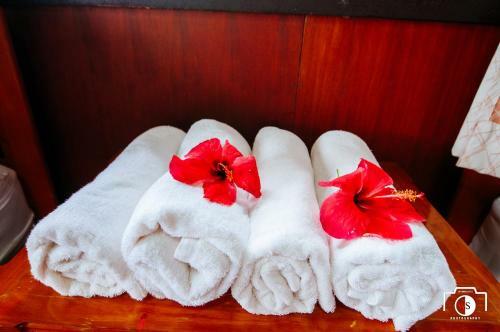 Hostal Venus Resort