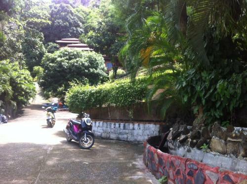Hostal Venus Resort