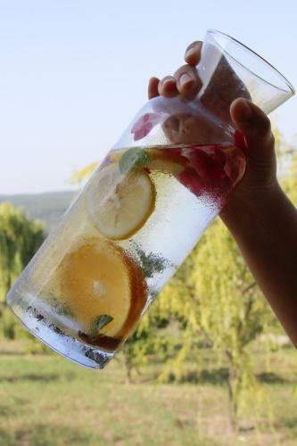Agroturismo K�y Evi Country House
