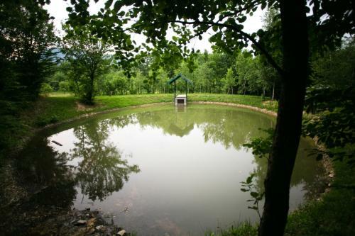 Tulpan Hotel