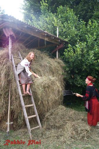Hostal Rakhiv Plai