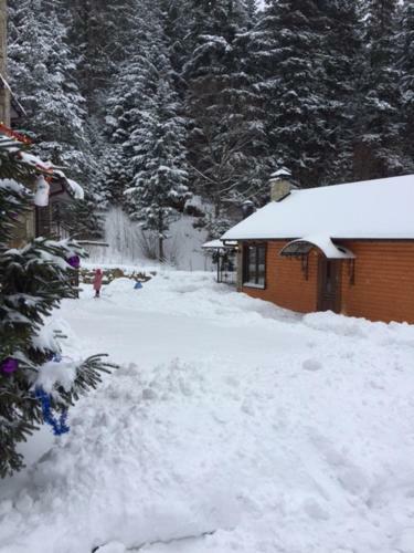 Lodge U Bobra