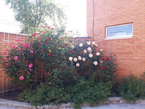 Apartamento ????????-?????? ? ?. ???????????? (???????????)