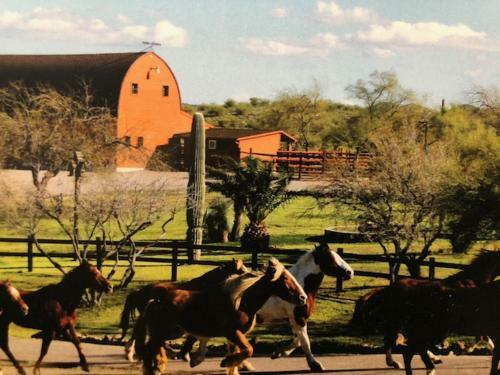 Hotel Flying E Guest Ranch
