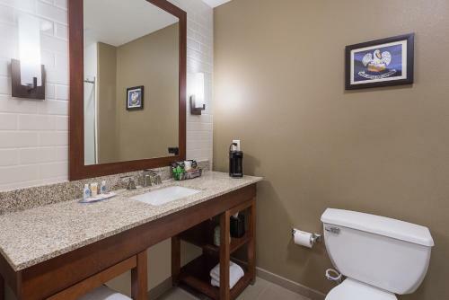 Hotel Comfort Inn & Suites Zachary