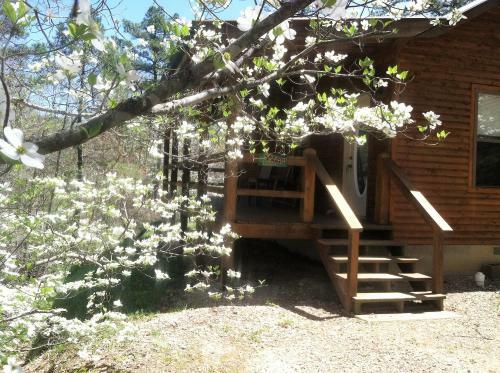 Dinner Bell Ranch Vacation Rentals