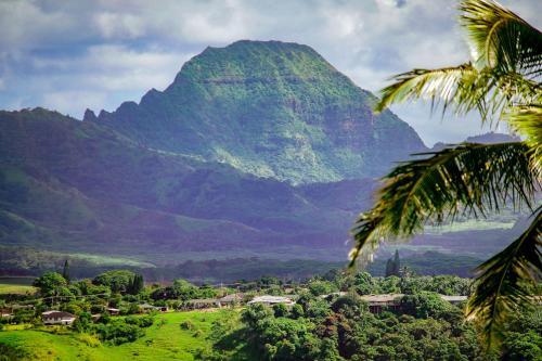 Kalaheo View