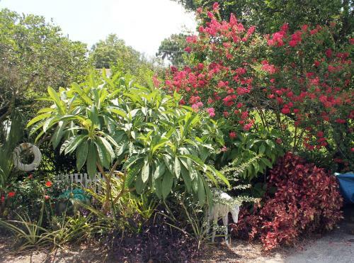 Heron Cay Lakeview Bed & Breakfast