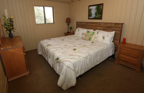 Pine Mountain Club Chalets