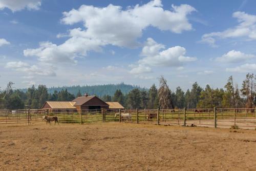 1 Pine Mountain