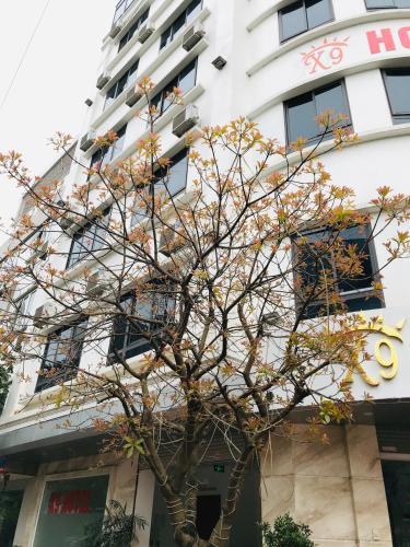 X9 Hotel