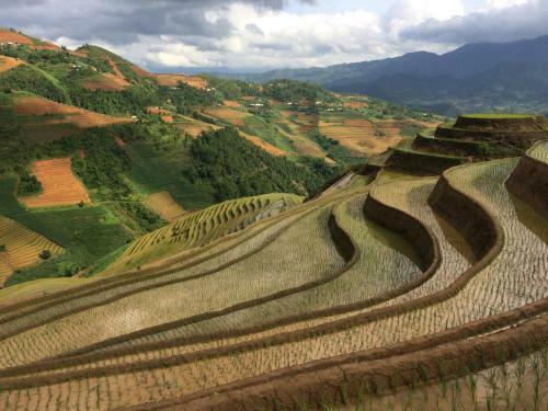 Lodge Hello Mu Cang Chai Homestay