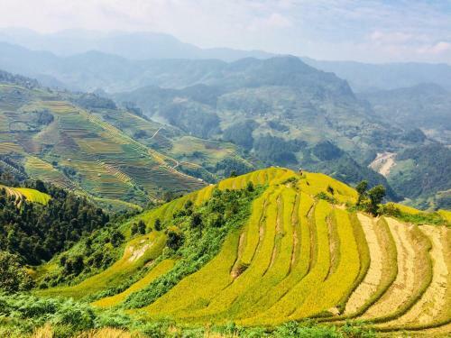 Lodge Hello Mu Cang Chai Homestay